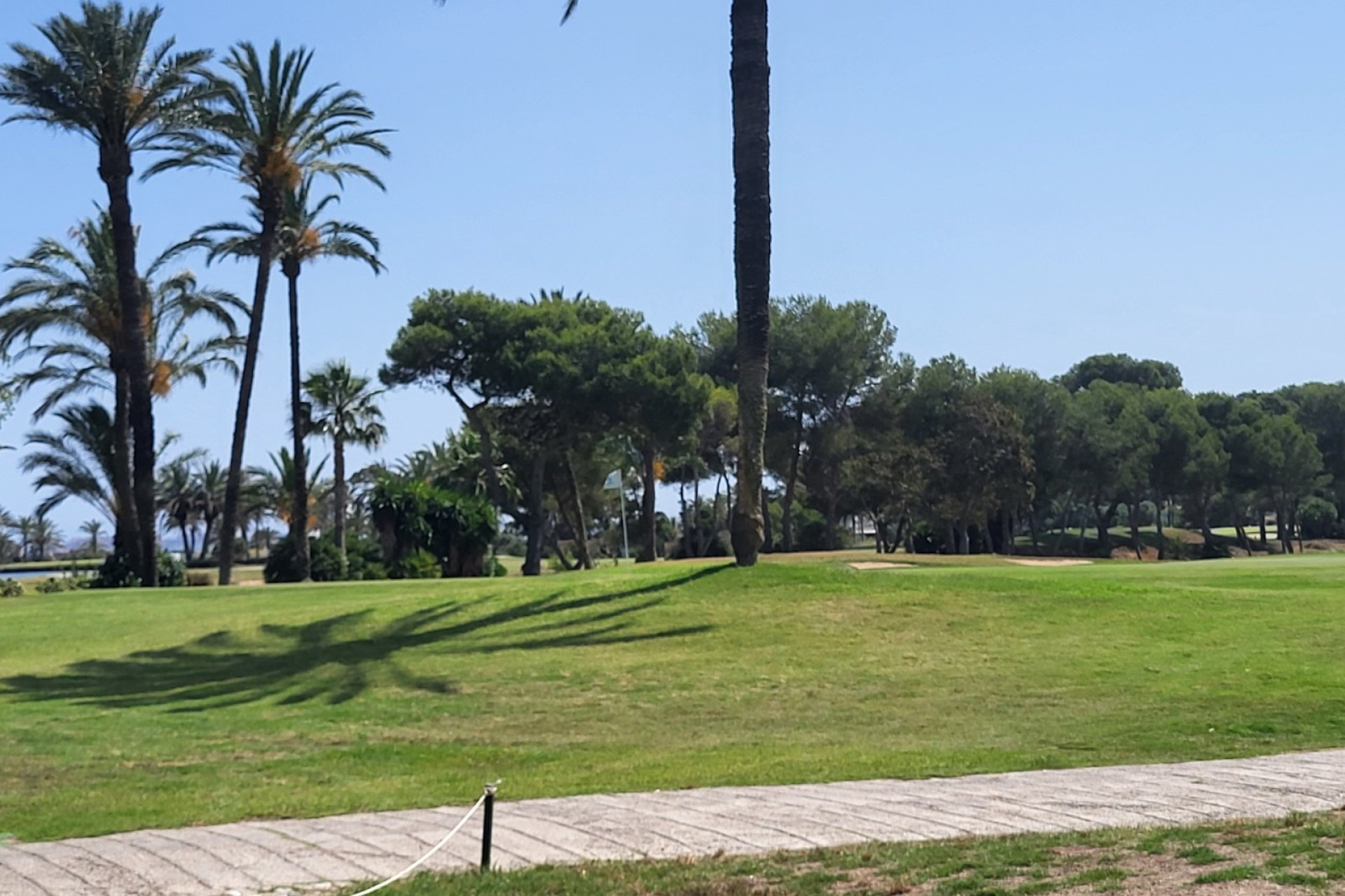 New Build - Apartment  - Los Belones - Los Belones - Country