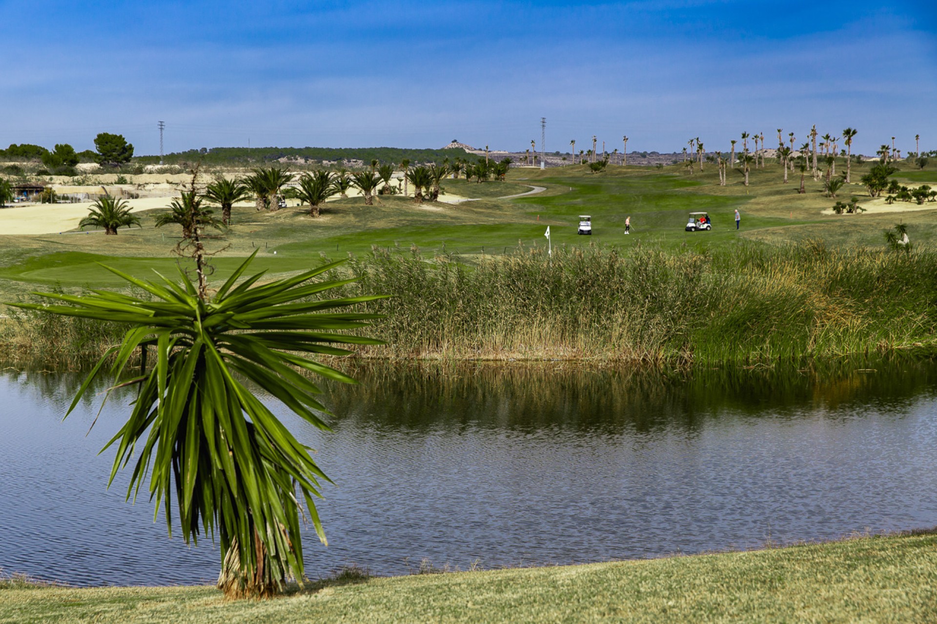 New Build - Detached Villa - Orihuela - Vistabella Golf