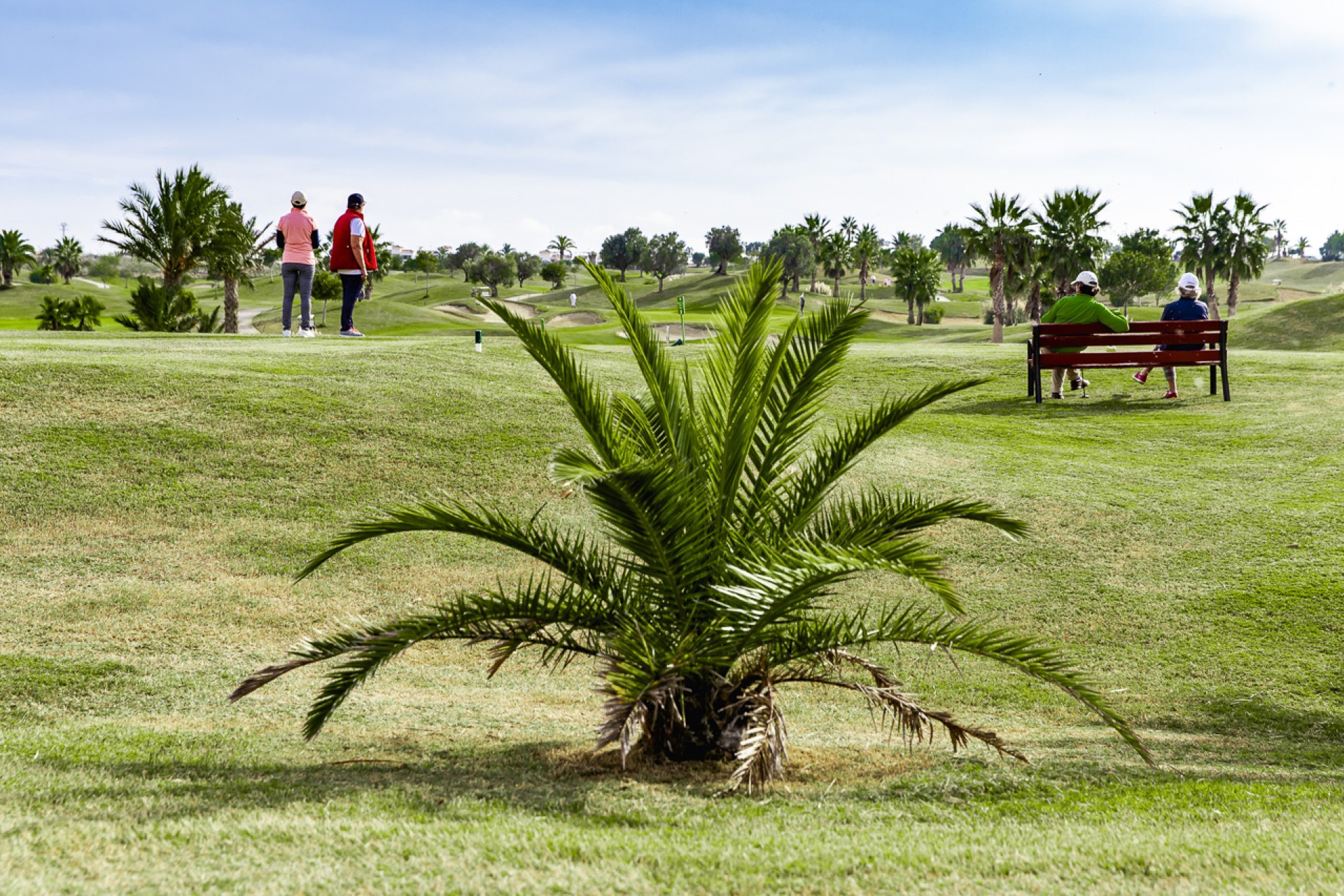 New Build - Detached Villa - Orihuela - Vistabella Golf
