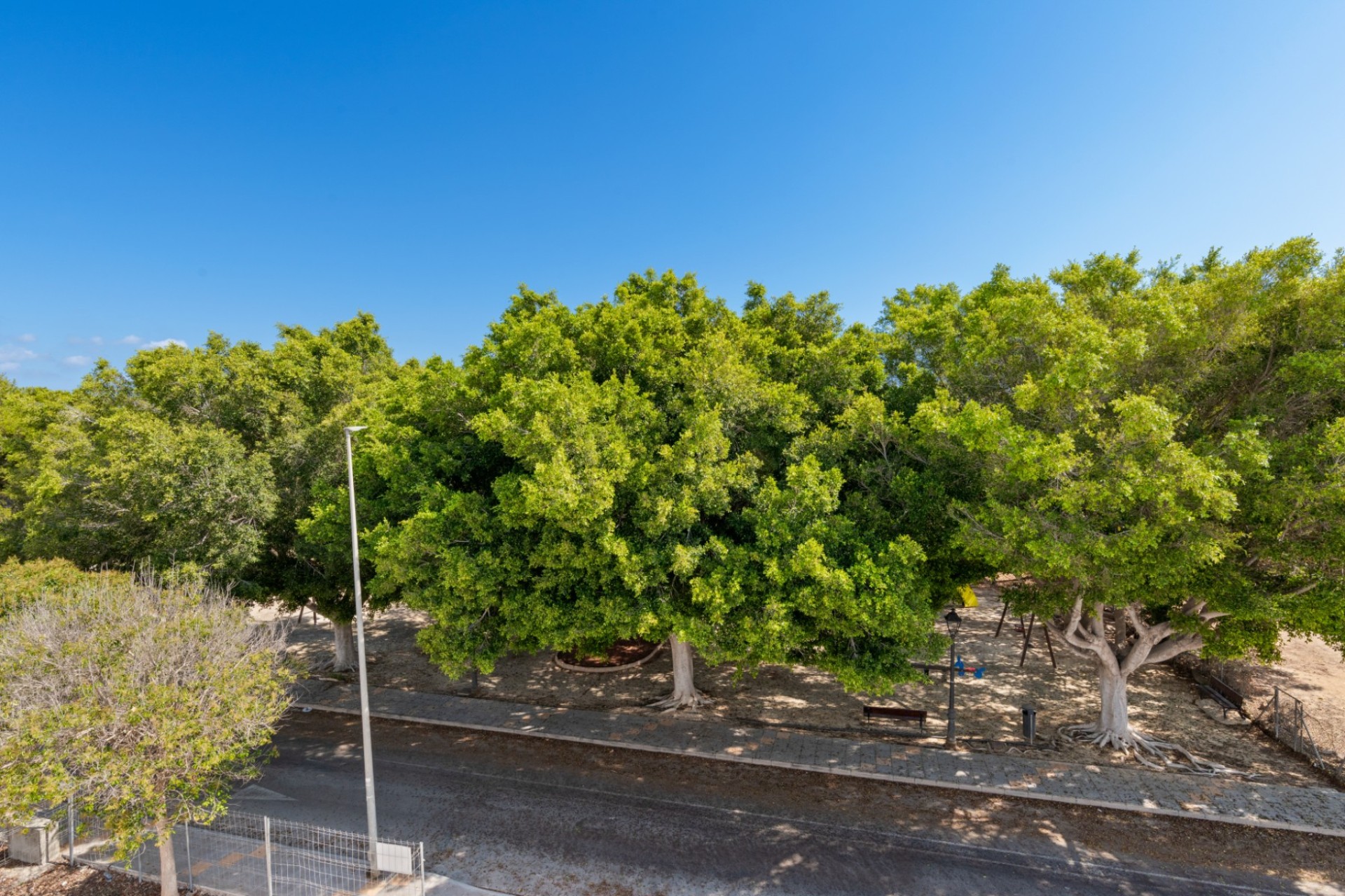 Nieuwbouw Woningen - Vrijstaande woning - Orihuela Costa - Mil Palmeras