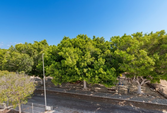 Nieuwbouw Woningen - Vrijstaande woning - Orihuela Costa - Mil Palmeras