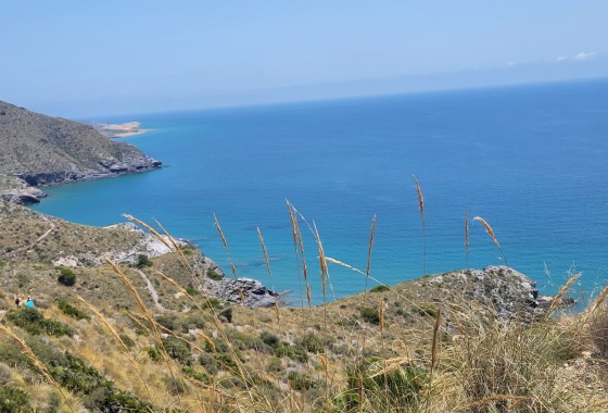 Nieuwbouw Woningen - Appartement  - Los Belones - Los Belones - Country